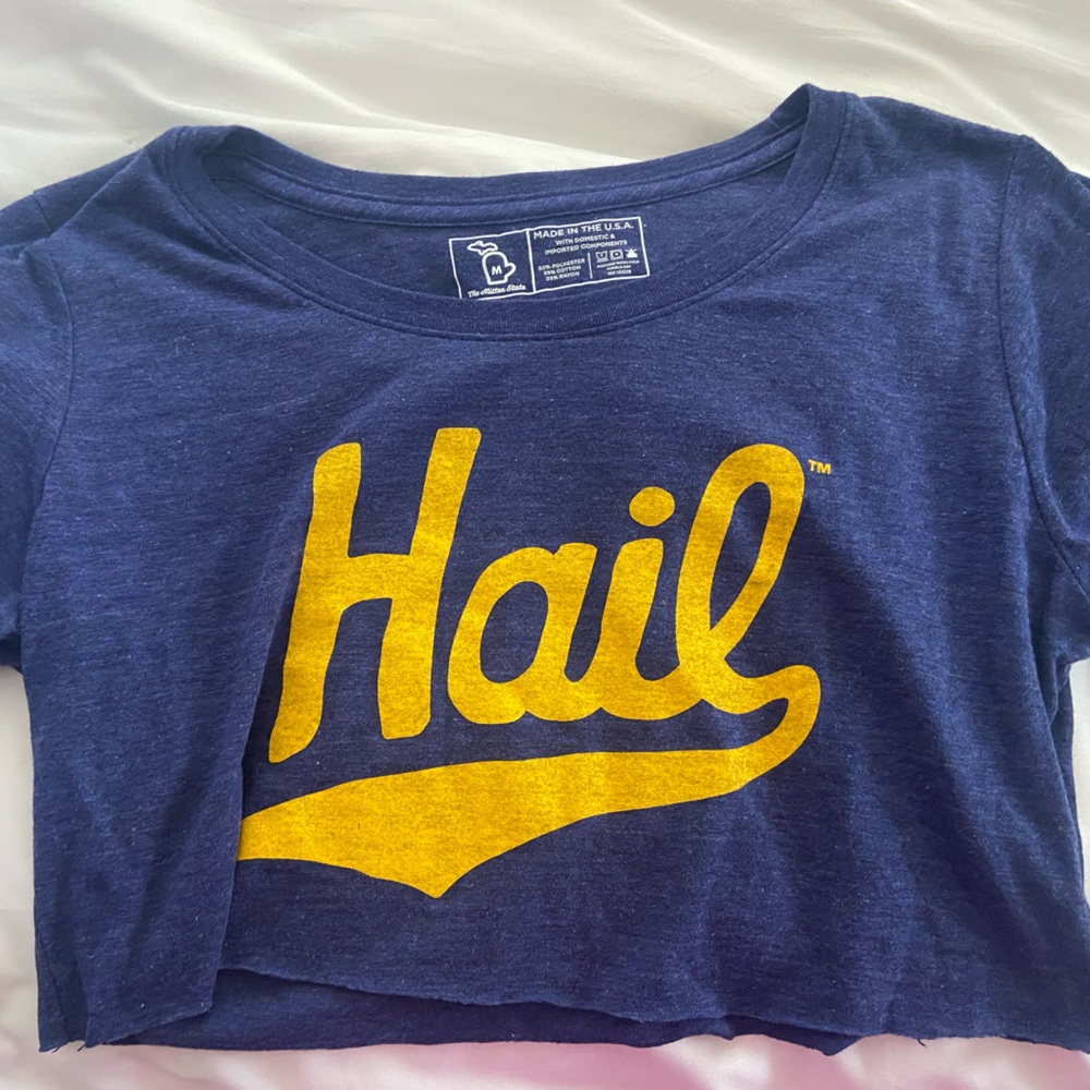 U of M “The Mitten State” crop top size M